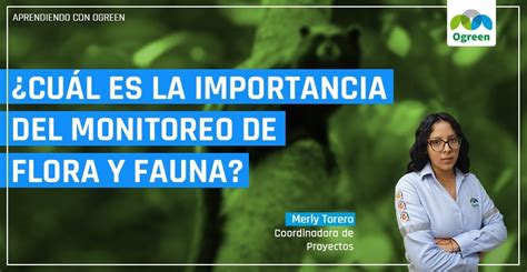 top 100 importancia de la flora y fauna anmb mx