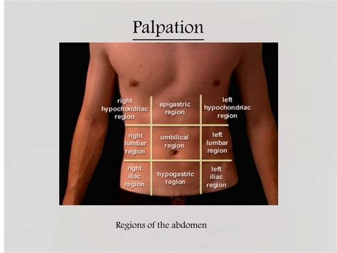 Ppt Git Physical Examination Powerpoint Presentation Free Download