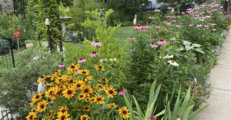 Small Gardens, Big Impact: Native Plant Oasis | Phipps Conservatory and