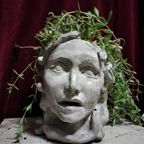 Medusa Planter Head Original Hand Crafted Water Drains Out Etsy