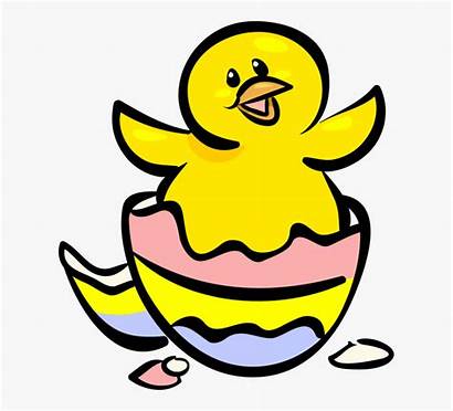 Easter Egg Clipart Duck Hatching Clip Transparent