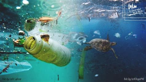 En 2050 Hasta 65 Millones De Toneladas De Plásticos Al Océano Página 66