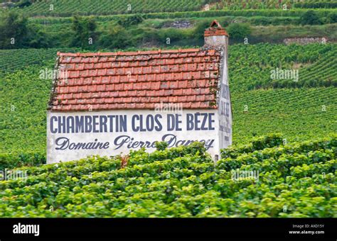 Vineyard Chambertin Clos De Beze Domaine Pierre Damoy Gevrey