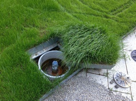 Es gibt eine große vielzahl von bereichen, die im bereich der abschließenden abschlussbewertung. Begrünte Schachtdeckel - grünwert