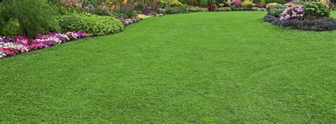 5 Steps To A Perfect Lawn Vokes