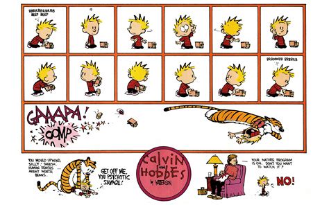 Calvin And Hobbes 10 Read All Comics Online