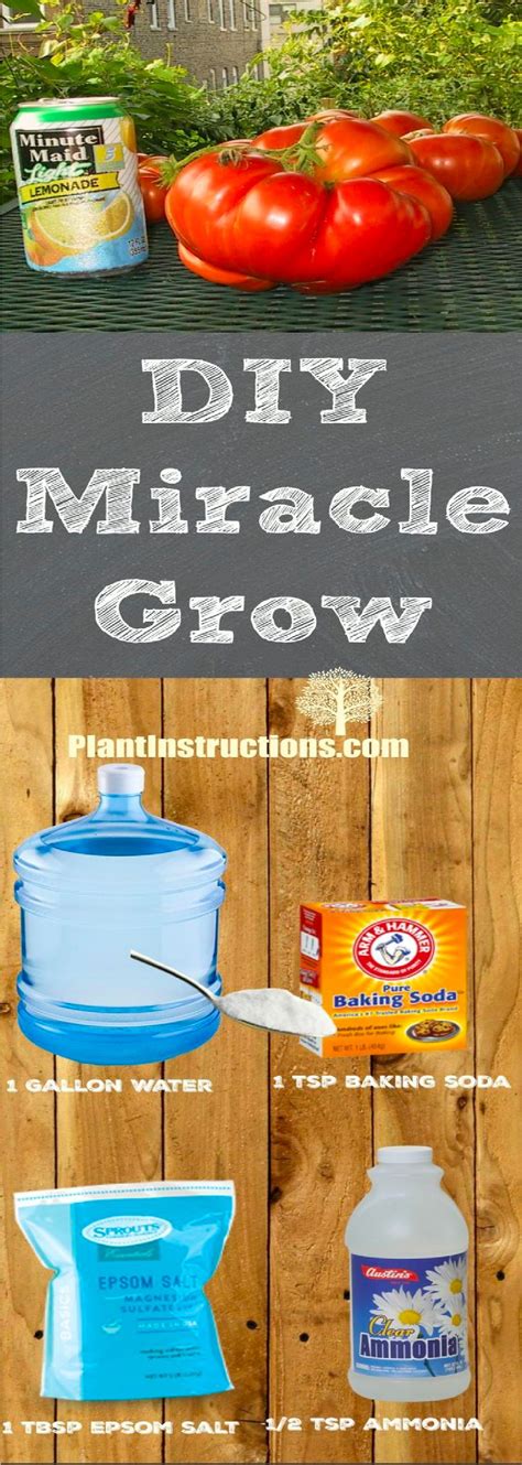 Diy Miracle Grow Healthy Living Fly Miracle Grow Miracle Grow Diy Homemade Plant Food