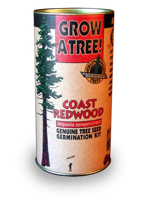 Jonsteen Company Genuine Tree Seed Germination Kit Coast Redwood