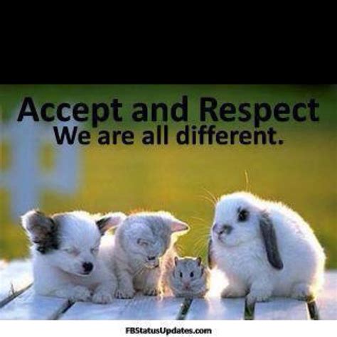 Agreed Respect Quotes Cute Animals Animals