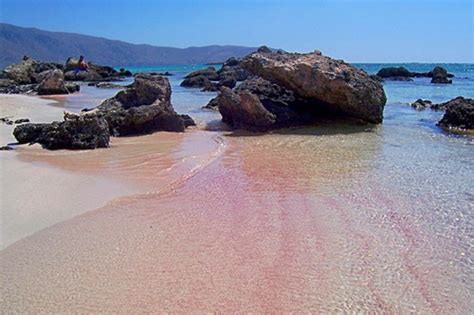 Top 10 Wonderful Pink Beaches In The World