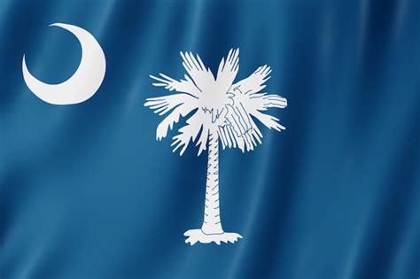 Flag Of South Carolina Eua Ilustração 3d Da Ondulação Da Bandeira Da