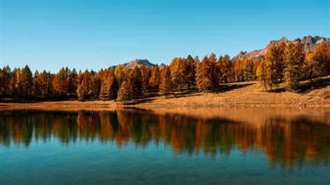 Download Wallpaper 2560x1440 Trees Lake Autumn Reflection Widescreen