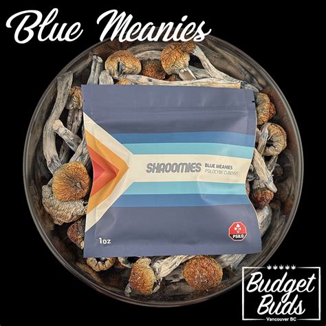Blue Meanies Magic Mushrooms 1oz By Shroomies Budget Buds