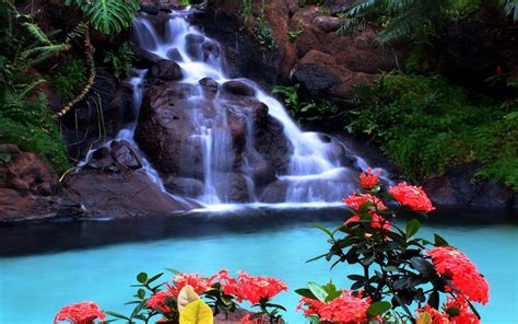 Tropical Waterfall Wallpaper