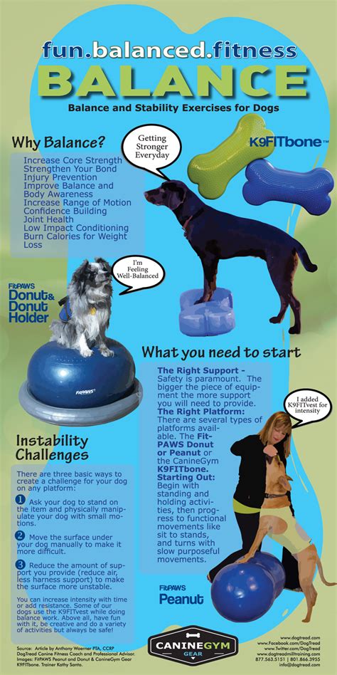 Balance And Core Exercises For Your Dog With The K9fitbone By Canine