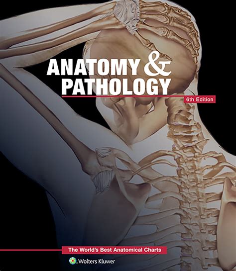Anatomy And Pathology 6th Edition