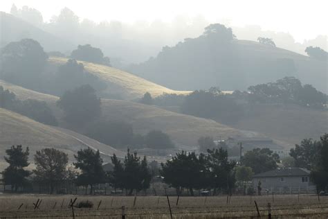 Free Images Landscape Tree Cloud Fog Mist Field Morning Valley