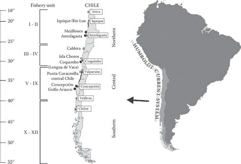 The Humboldt Current System Of Northern And Central Chile