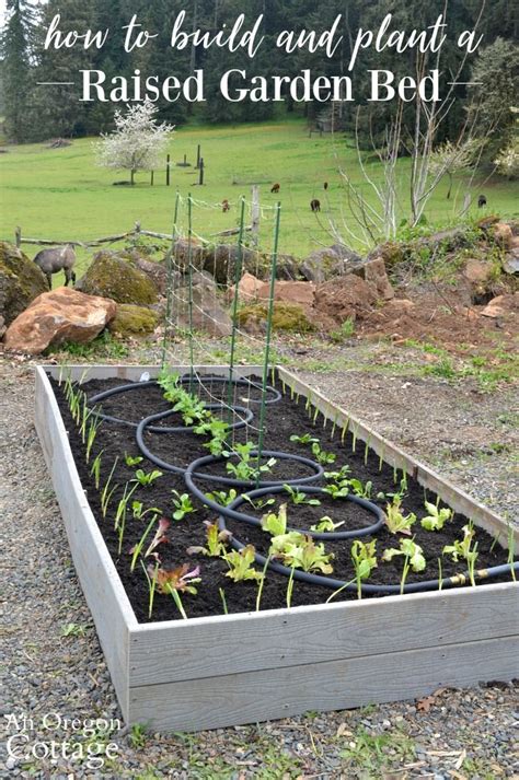 Learn How To Build And Plant A Long Lasting Raised Garden Bed With This