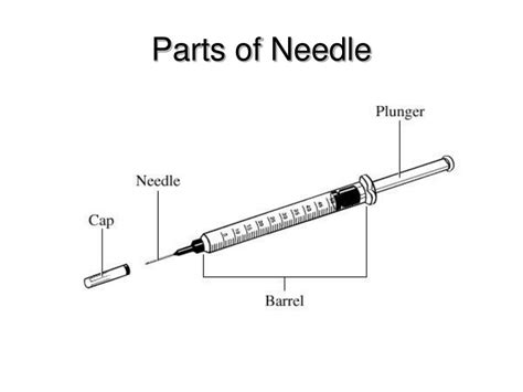 Needle Parts Diagram Injection Needles Sizes And Gauges Chart Kellydli