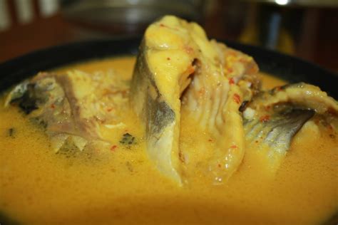 Resepi kali ini, ikan patin masak lemak cili padi simple dan sedap! Muqorrobin: Ikan Patin Masak Lemak Tempoyak