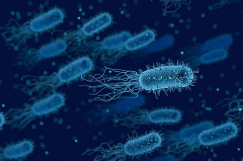 Mengenal Bakteri Listeria Monocytogenes