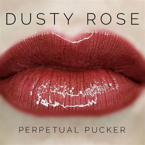 Kiss Dusty Rose Hair Color Warehouse Of Ideas