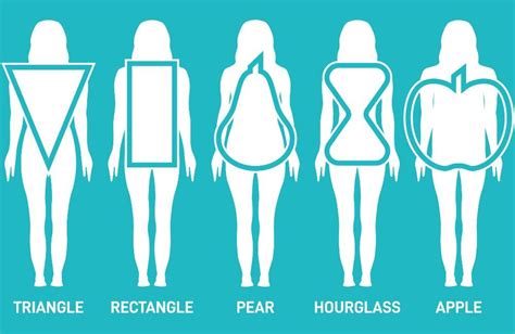 Womens Body Shapes What Body Shape Are You