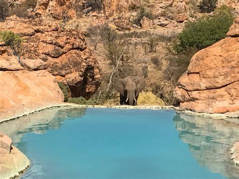 Leokwe Camp Mapungubwe National Park Pool Pictures And Reviews