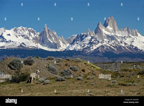 Cerro Torre Mount Fitz Roy And Fitz Roy Range Of Andes Los Glaciares