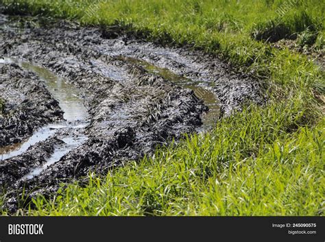 Dirty Country Road Wet Image And Photo Free Trial Bigstock