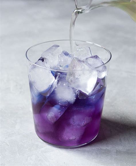 Inspired bartenders have invented drinks that highlight the flower's dynamic range of colors. Butterfly pea flower tea lemonade matcha photo | Butterfly ...