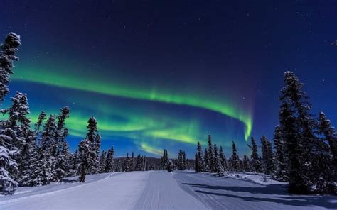 Experience The Northern Lights On An Alaska Railroad Trip