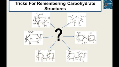 Carbohydrate Ii Remembering Tricks For Monosaccharide Disaccharide