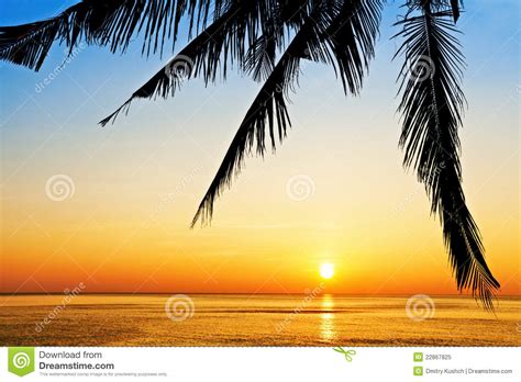 Tropical Beach At Sunset Stock Image Image Of Blue