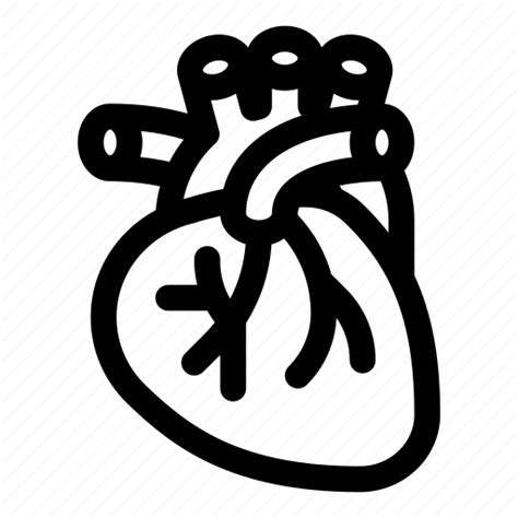 Anatomy Heart Human Organ Surgery Icon Download On Iconfinder