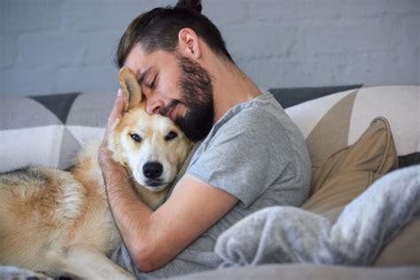 New Research Shows That Petting Dogs Is Like A Drug For Our Brains