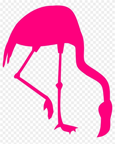 Flamingobirdwalk Vector Graphics Pink Flamingo Clip