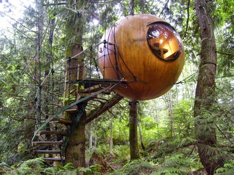 Cool Treehouses From Around The World Cool Things Collection