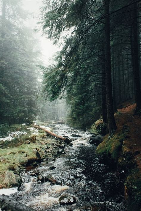 Ladyclough Forest Daniel Casson Photography Hiking