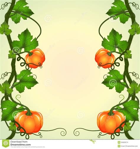 Free Clipart Vines Free Download On Clipartmag