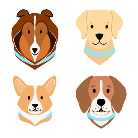 Dog Face Illustrations Royalty Free Vector Graphics And Clip Art Istock