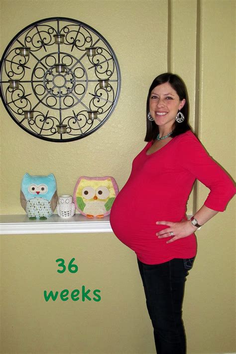 36 Weeks Pregnant With Twins The Maternity Gallery