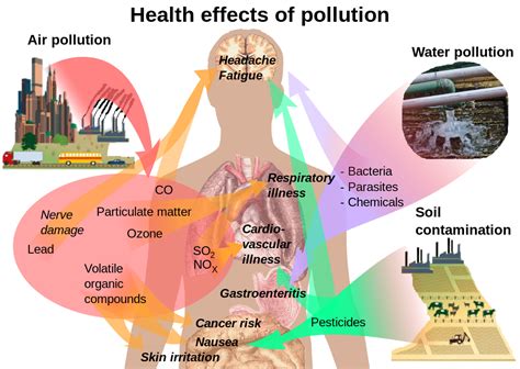It reduces lung function and damages rubber and plastic. File:Health effects of pollution.svg - Wikimedia Commons
