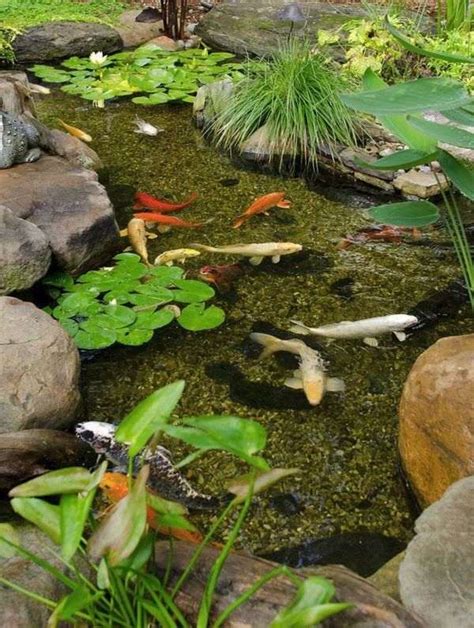 Koi Pond Design Ideas Add A Japanese Garden Feature To Your Landscape