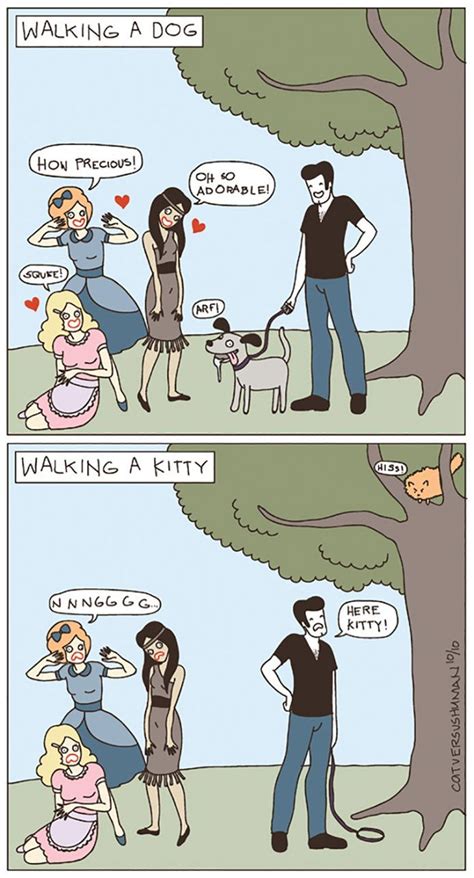 Differences Between Cats And Dogs 60 Funny Pictures