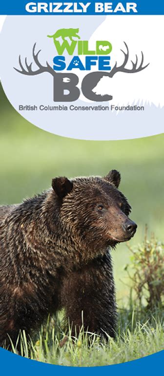 Grizzly Bear Awareness Squamish Lillooet Regional District