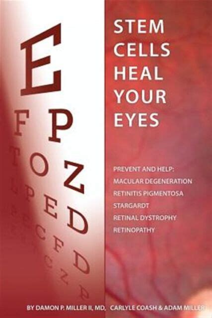 Stem Cells Heal Your Eyes Prevent And Help Macular Degeneration
