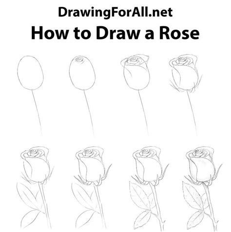 How To Draw A Bunch Of Roses Step By Step At Drawing Tutorials