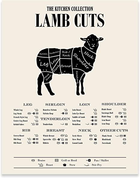 Top suggestions for sheep cuts of meat. Amazon.com: Lamb Cuts Poster Prints - Butcher Guide Wall ...